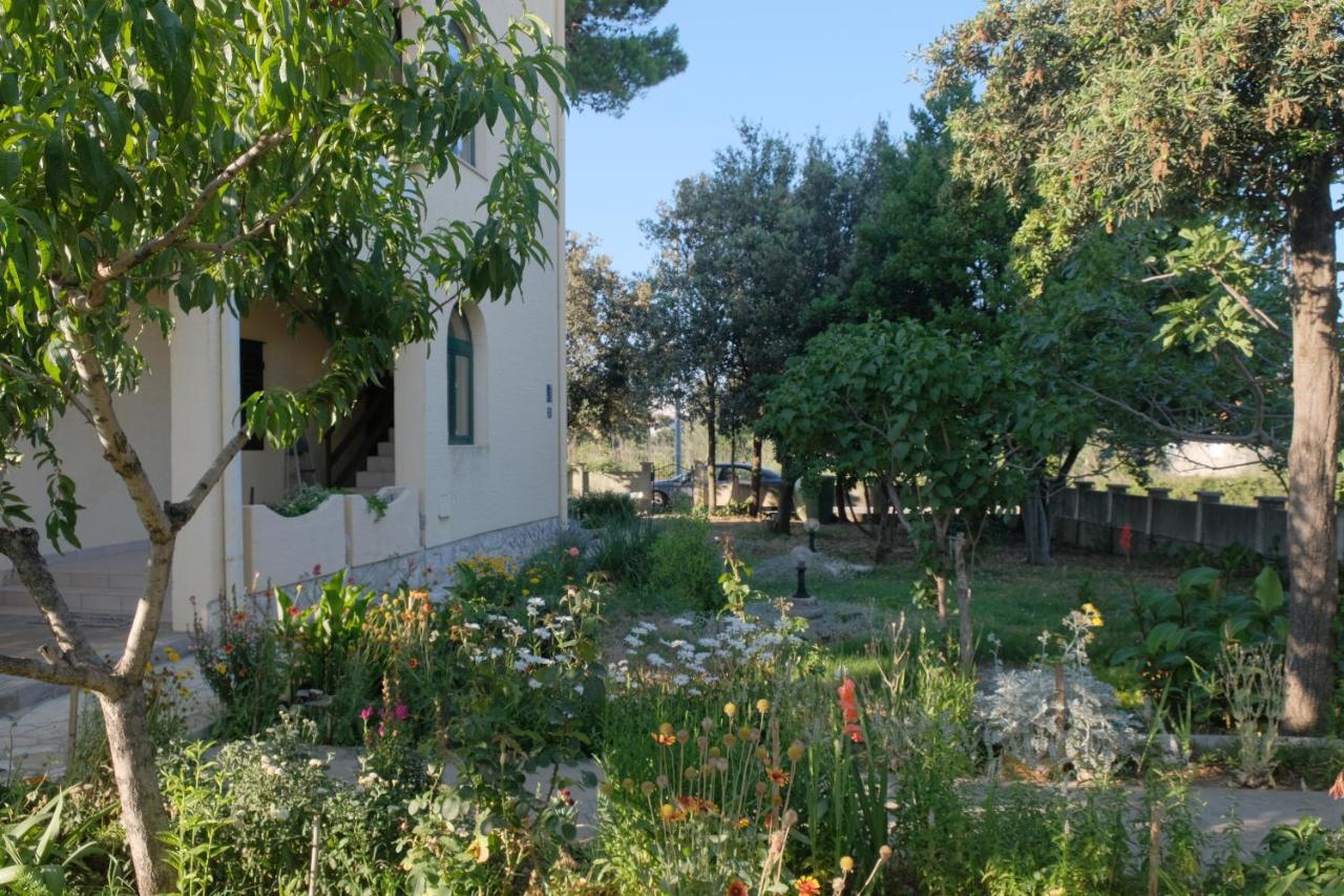 Apartmani Bosiljka Nin Exterior foto