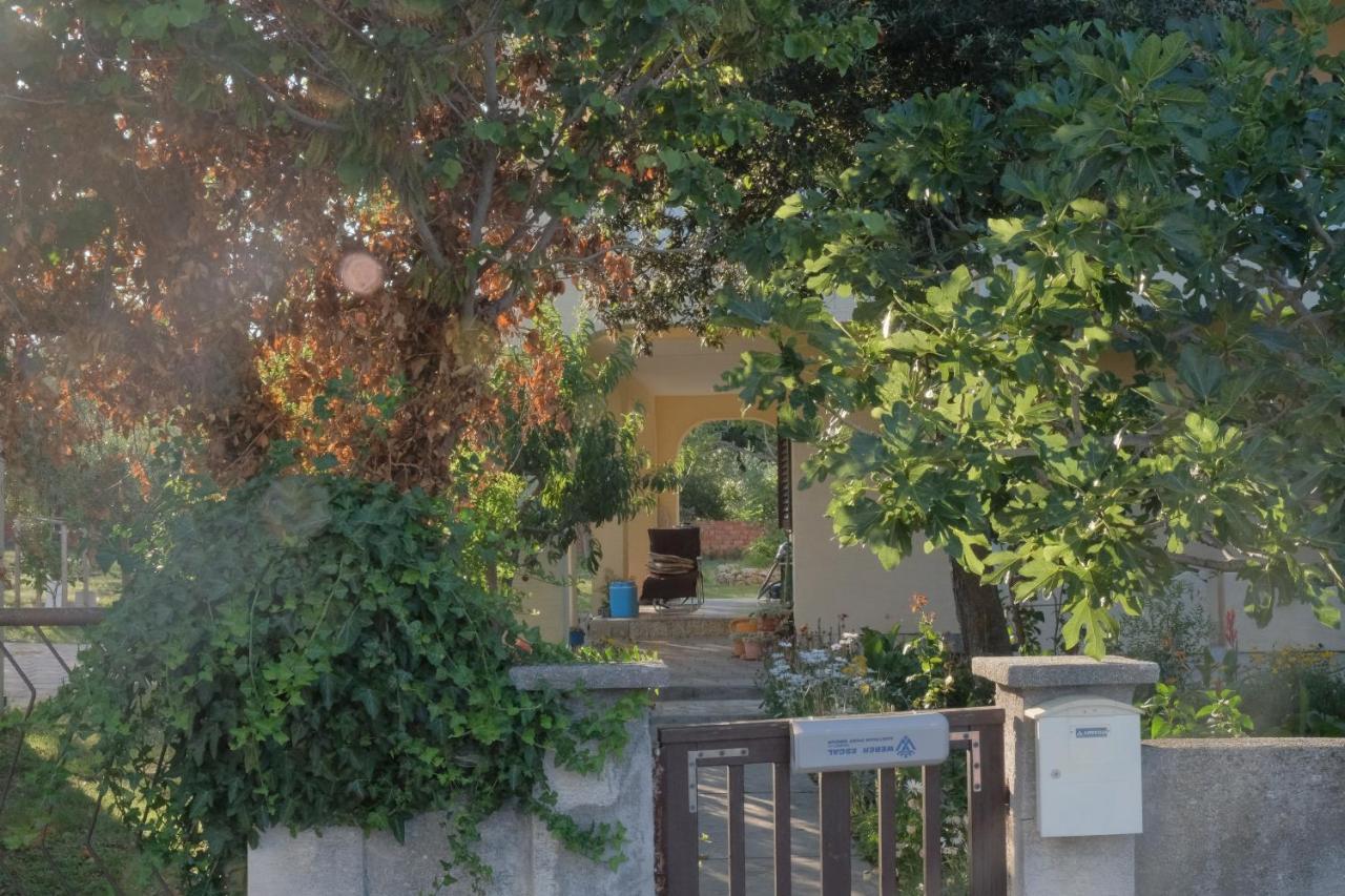 Apartmani Bosiljka Nin Exterior foto