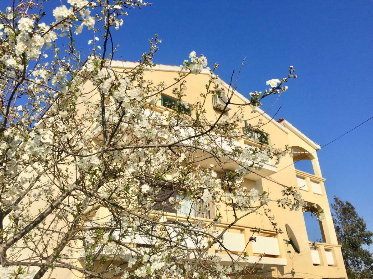 Apartmani Bosiljka Nin Exterior foto