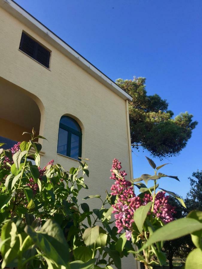 Apartmani Bosiljka Nin Exterior foto